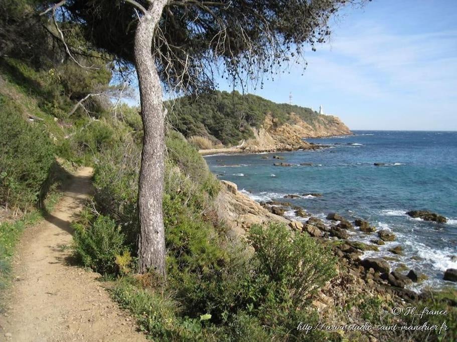 Les Hibiscus Apartment Saint-Mandrier-sur-Mer Luaran gambar